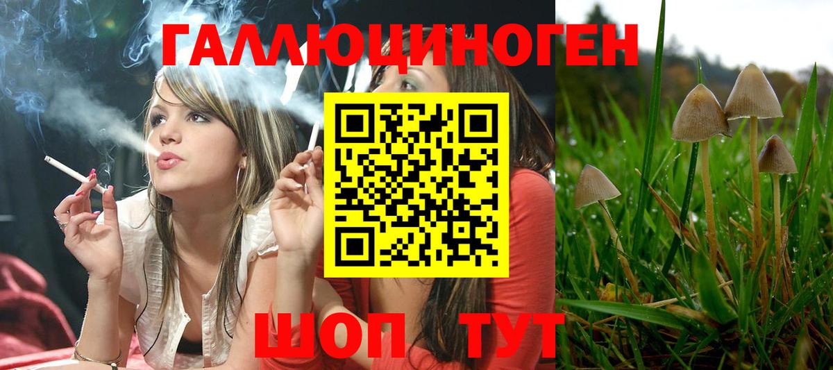 Нарткала  Галлюциногенные грибы MAGIC MUSHROOMS  Вход с VPN 