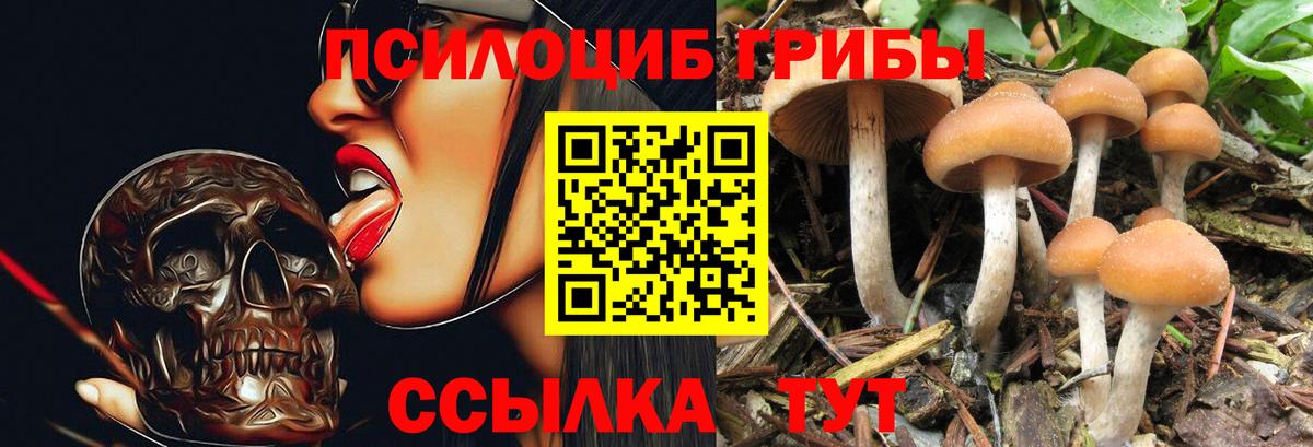 Меф кристаллы  Alpha PVP СК   Вход с VPN  Нарткала  ТГК  ГАШИШ  МАРИХУАНА  Метадон 